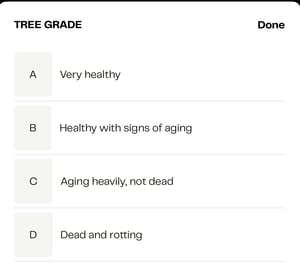 Tree grades-1